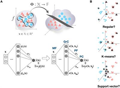 Cerebellum as a kernel machine: A novel perspective on expansion recoding in granule cell layer